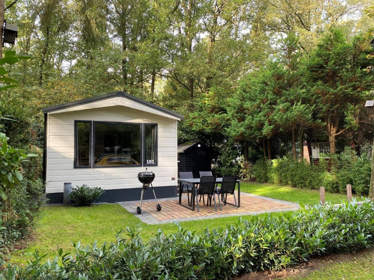 Beautiful In The Woods With A Shared Pool Holiday home Vledder